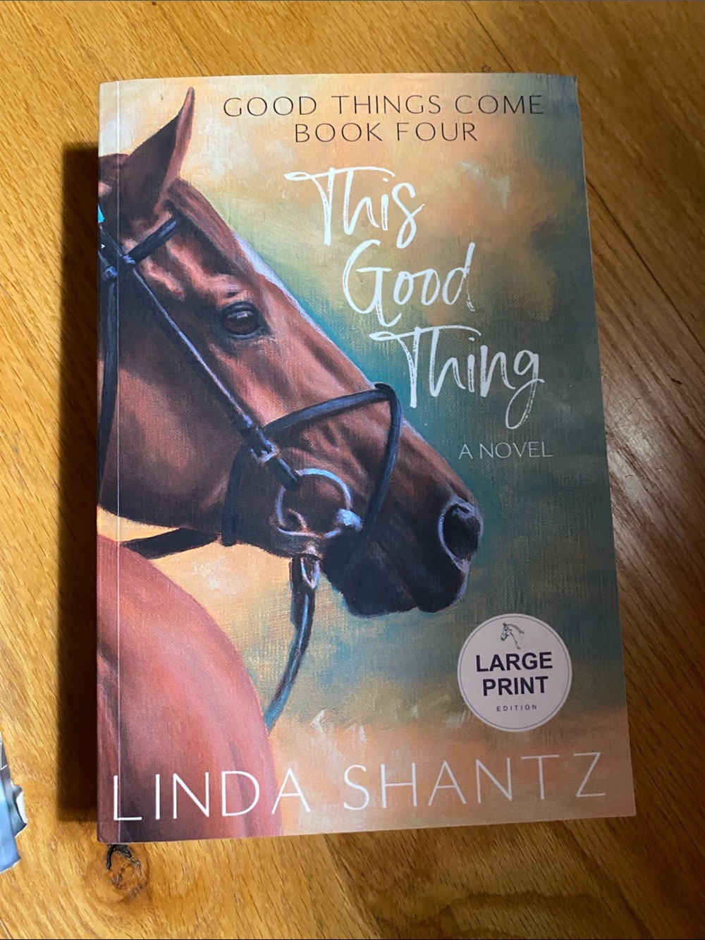 This Good Thing — Brown Horse Cover (Large Print)book 4